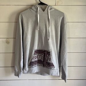 Hershey Gray Hoodie for Men